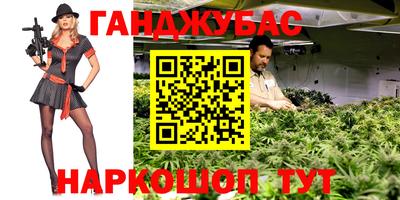 дмт Пенза