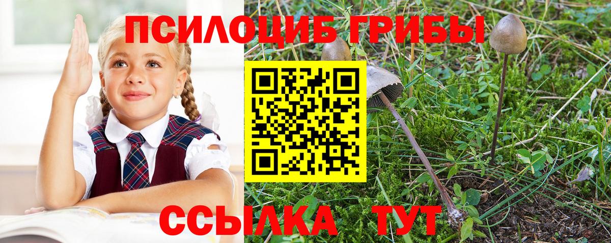 Новошахтинск  Псилоцибиновые грибы Magic Shrooms  Вход с VPN  где купить   Галлюциногенные грибы Psilocybe 