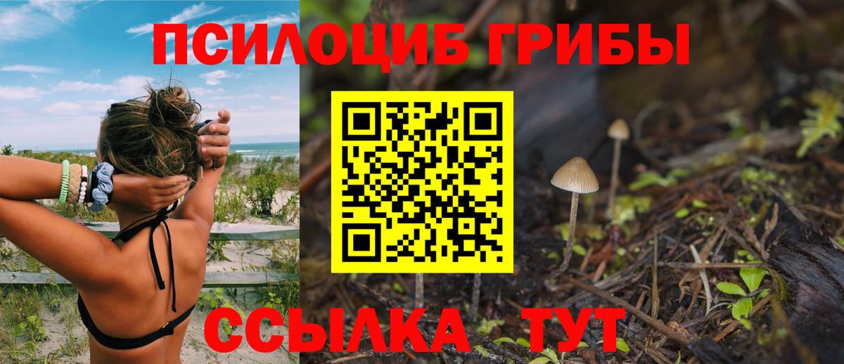 Галлюциногенные грибы Magic Shrooms Новошахтинск