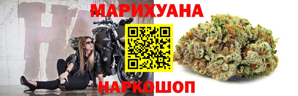 Канабис сатива Новошахтинск